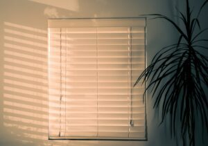 Roller Blinds - Types of Window Blinds in Toronto 
